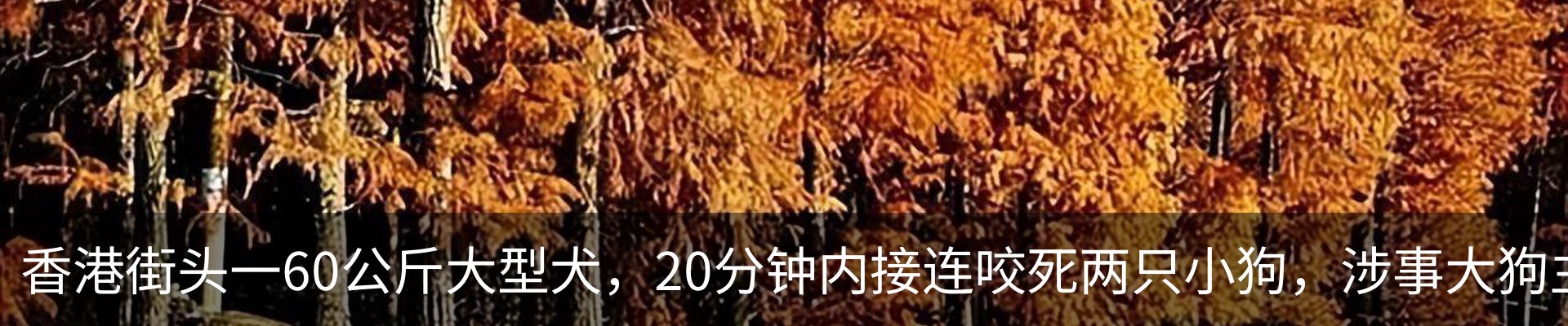 热点资讯